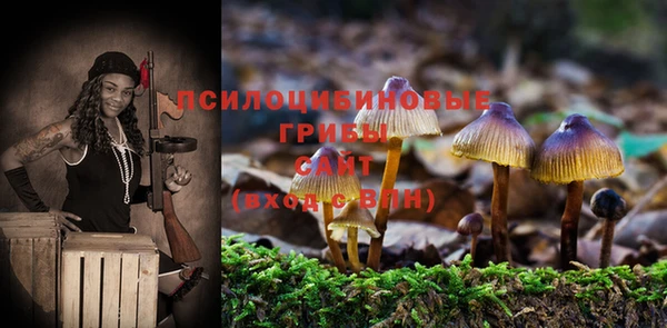 ешки Алексеевка