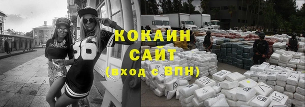 винт Абаза